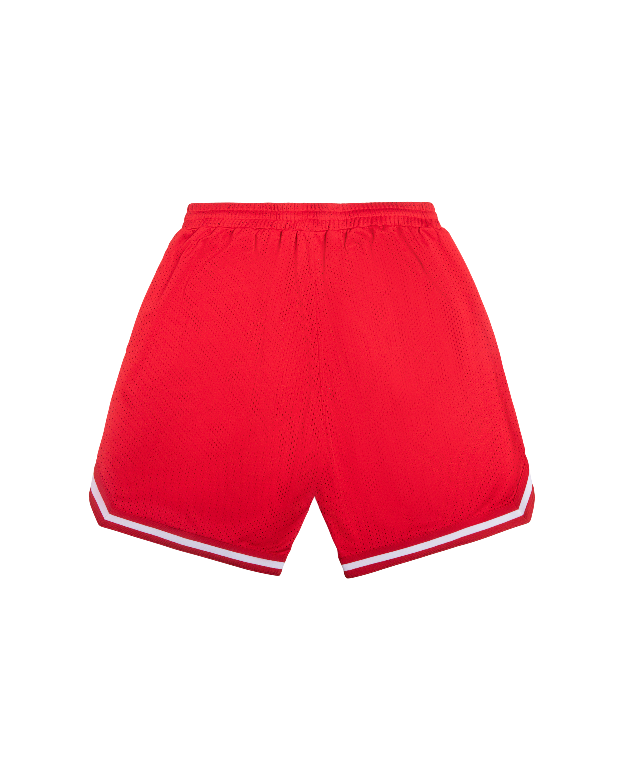 Team IC Running Dog Basketball Shorts